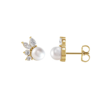 Natural Diamond 0.5 CTW  & Cultured Akoya Pearl Earrings Image